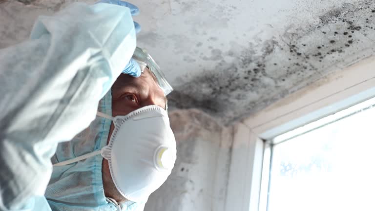 Mold Remediation for Vacation Homes in Progreso, TX